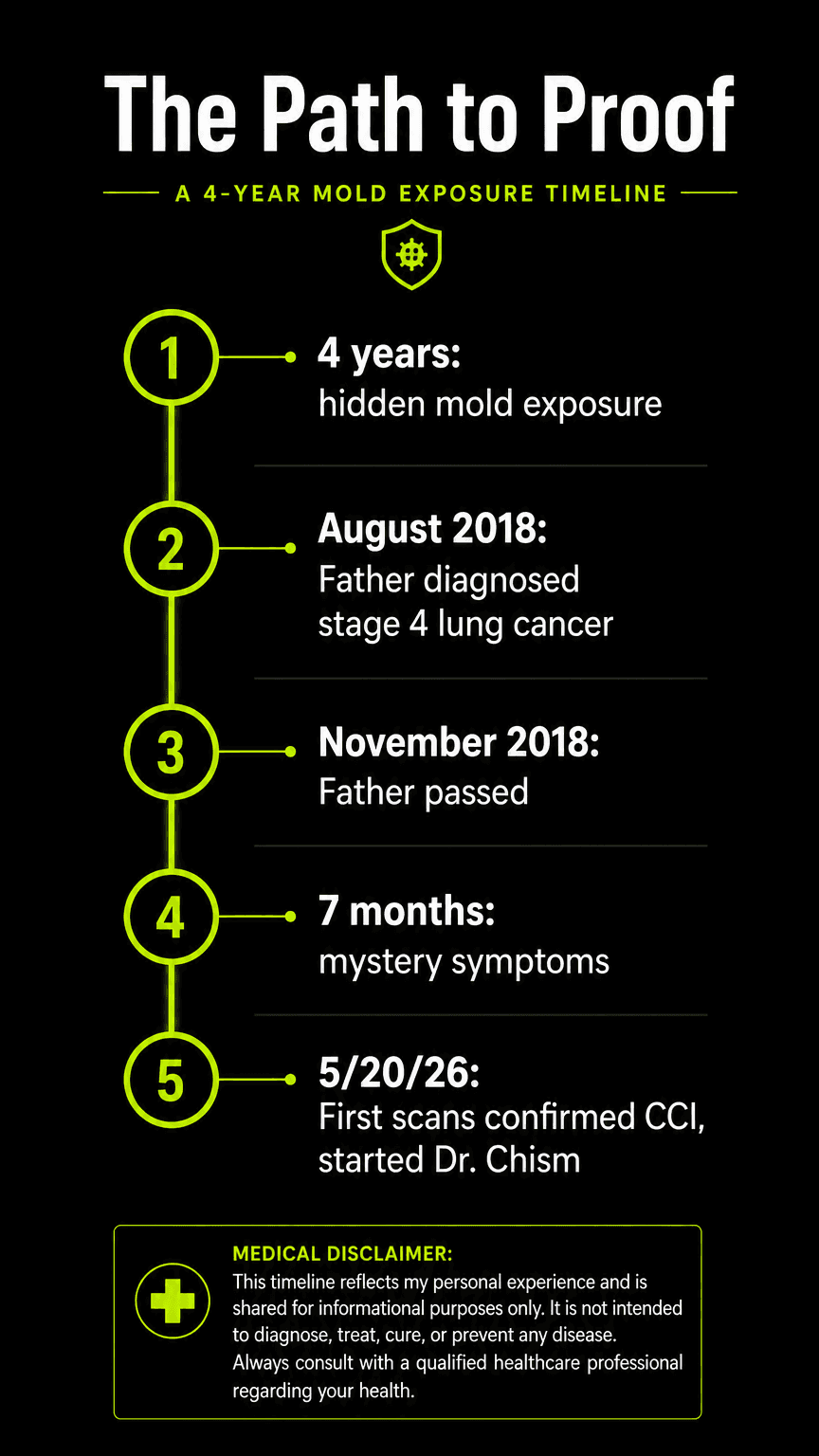 Mold exposure recovery timeline
